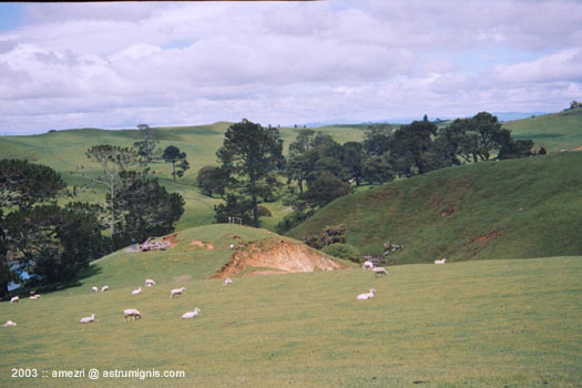 20031124-hobbiton-01