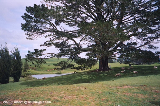 20031124-hobbiton-06