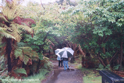 20031126-rotorua-12