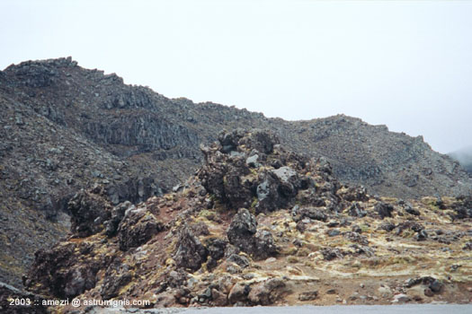 20031127-whakapapa-02