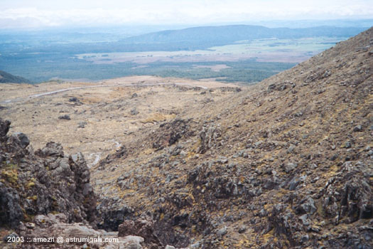 20031127-whakapapa-06