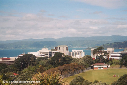 20031128-wellington-03