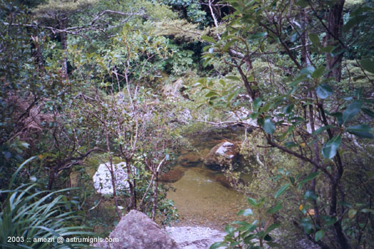 20031220-kaitoke-08